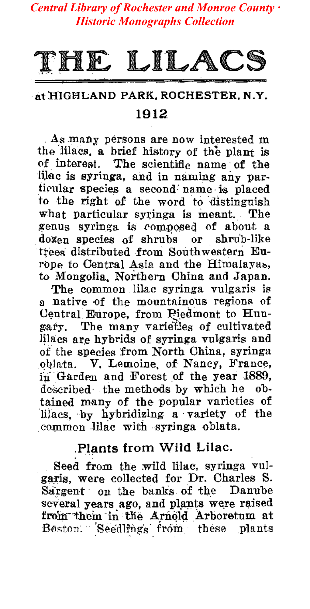 The Lilacs at Highland Park, Rochester, N.Y. 1912