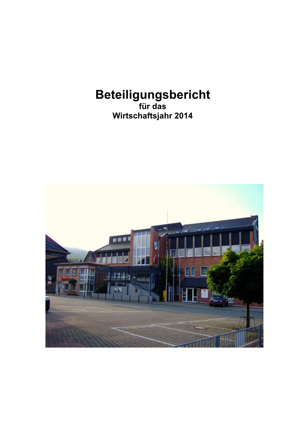 Beteiligungsbericht 2014