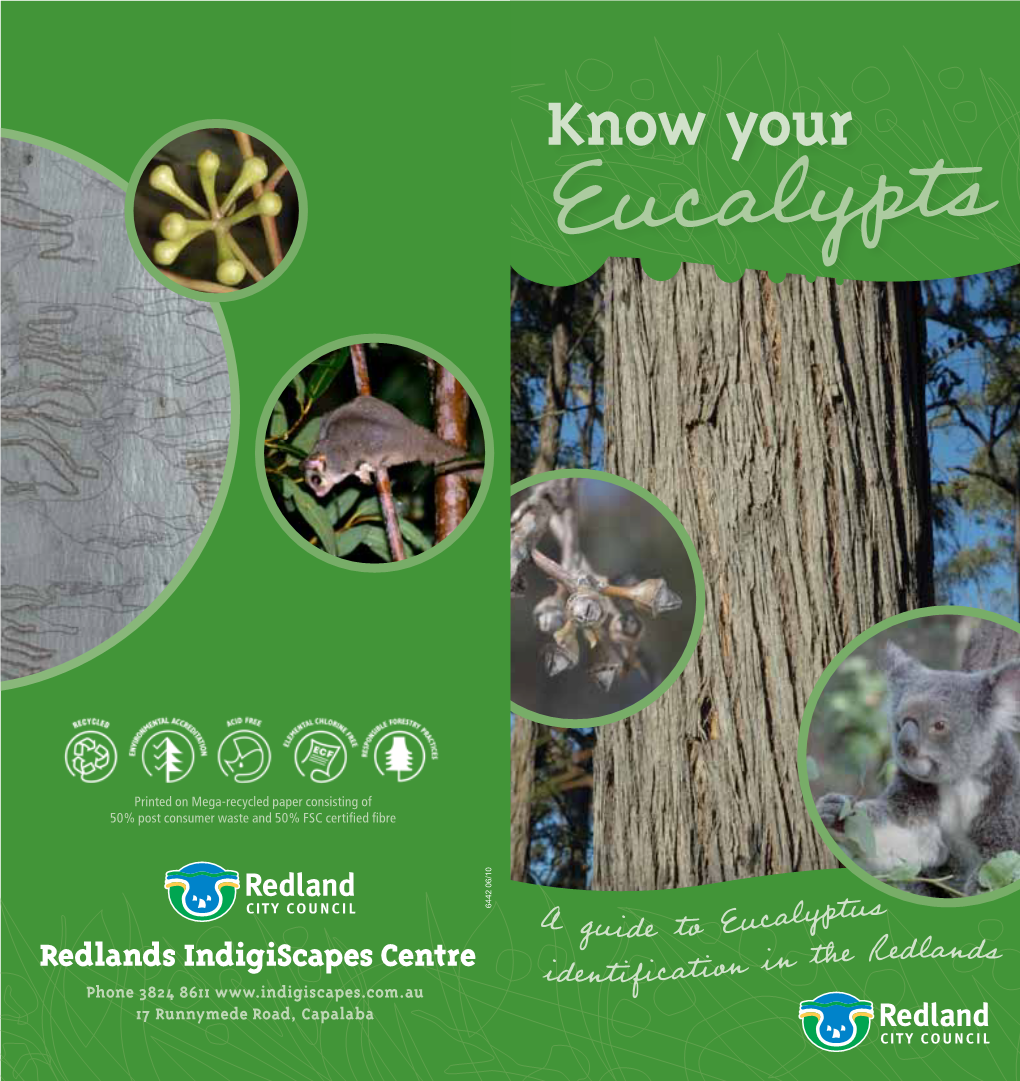 Know Your Eucalypts