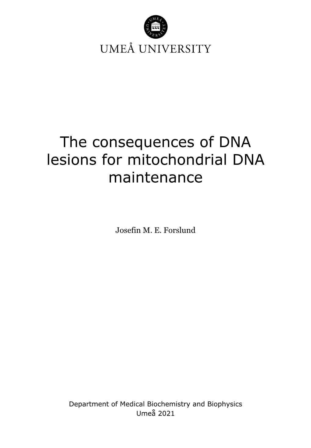 The Consequences of DNA Lesions for Mitochondrial DNA Maintenance