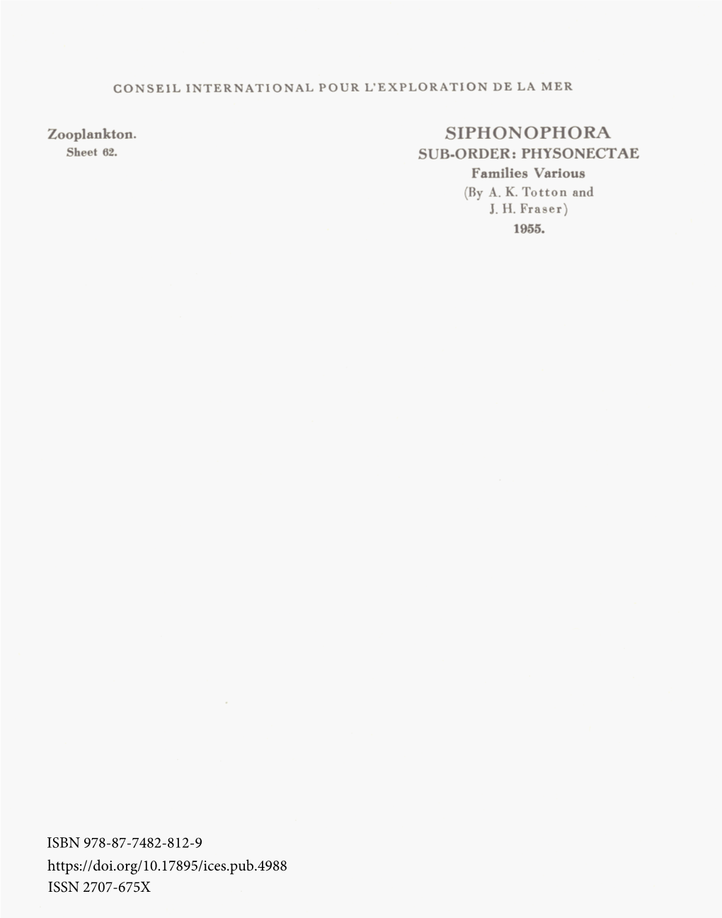 SIPHONOPHORA Sheet 62