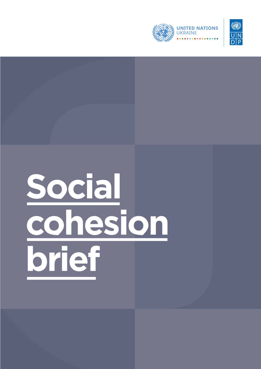 Social-Cohesion-Brief-Eng.Pdf