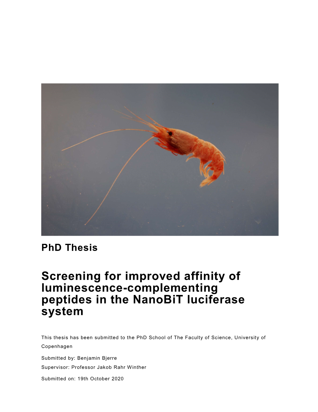 Screening for Improved Affinity of Luminescence-Complementing Peptides in the Nanobit Luciferase System