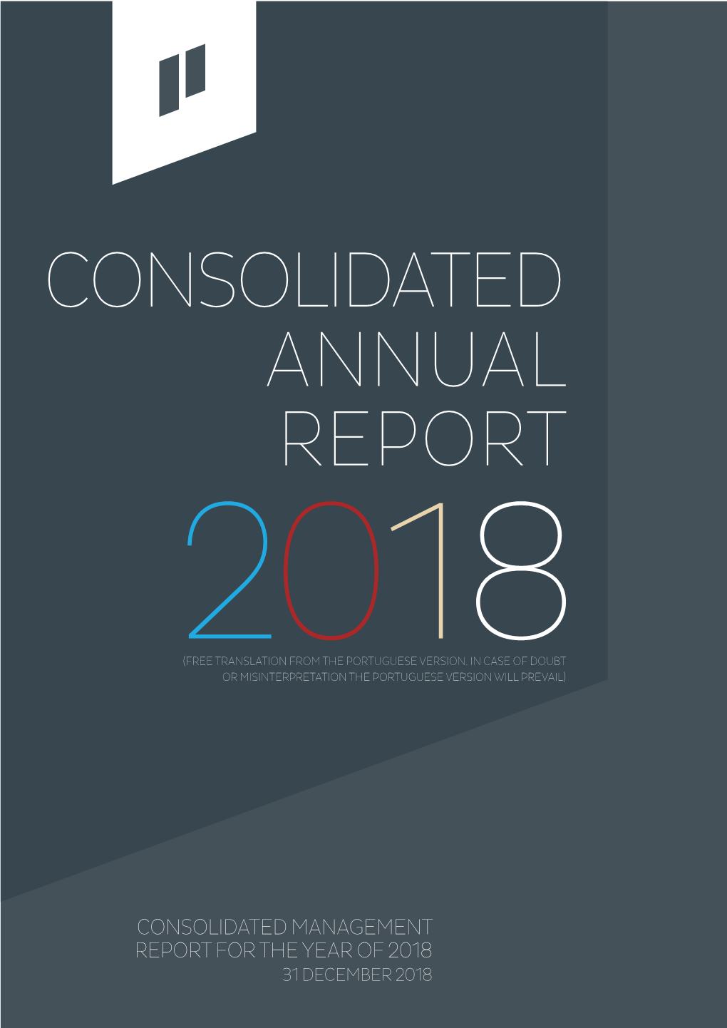 Consolidated Annual Report