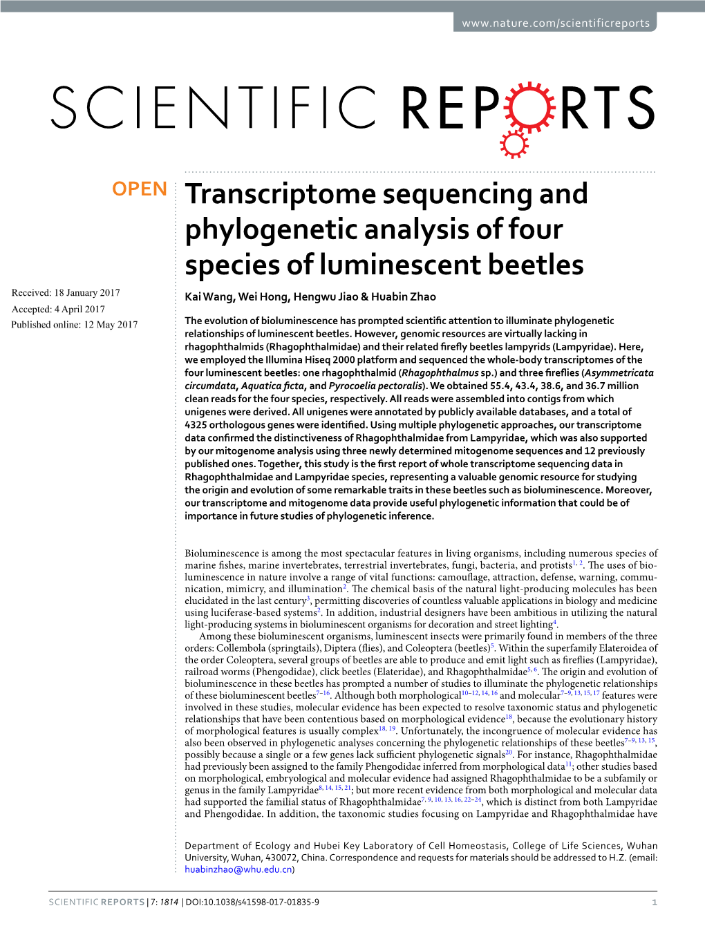 Transcriptome Sequencing and Phylogenetic Analysis of Four Species of Luminescent Beetles