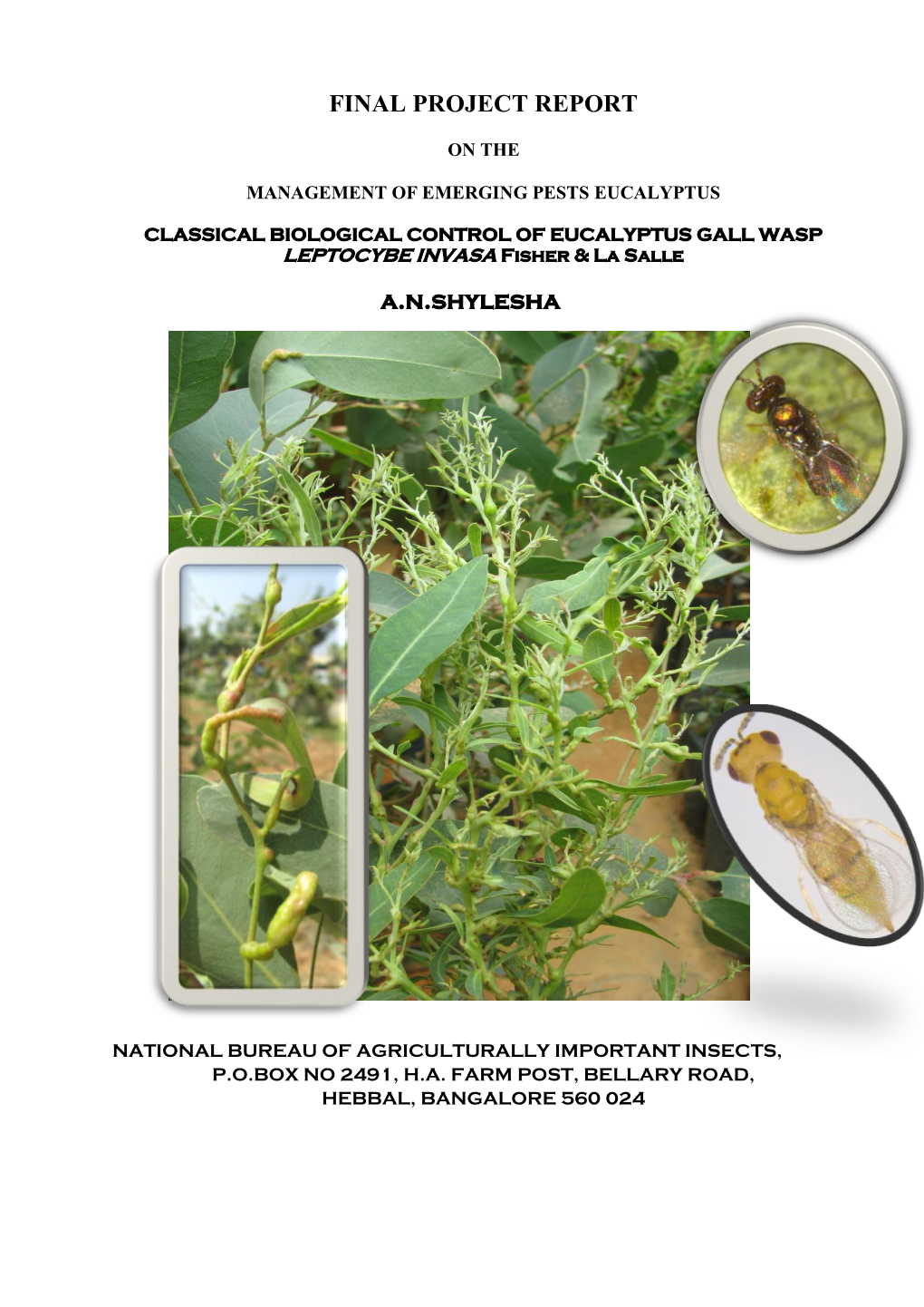 CLASSICAL BIOLOGICAL CONTROL of EUCALYPTUS GALL WASP LEPTOCYBE INVASA Fisher & La Salle