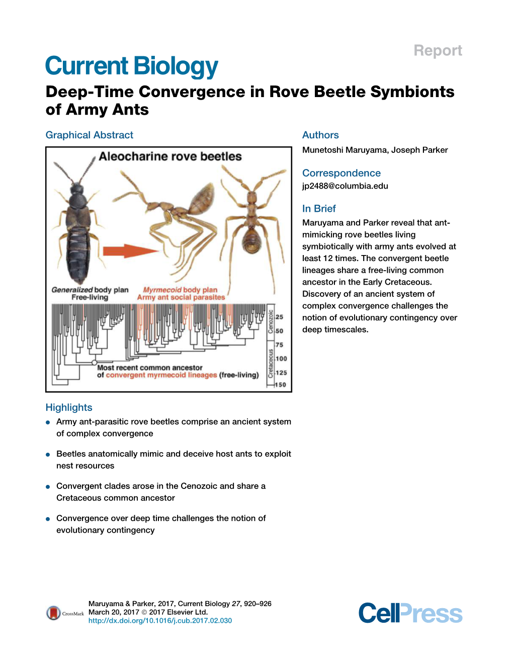 Deep-Time Convergence in Rove Beetle Symbionts of Army Ants