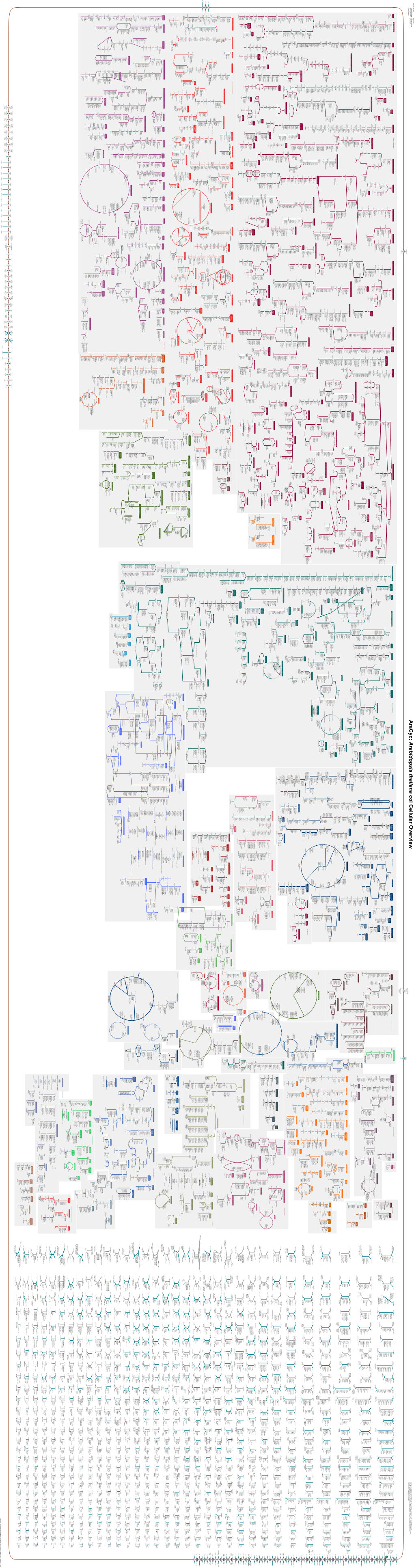 Generate Metabolic Map Poster