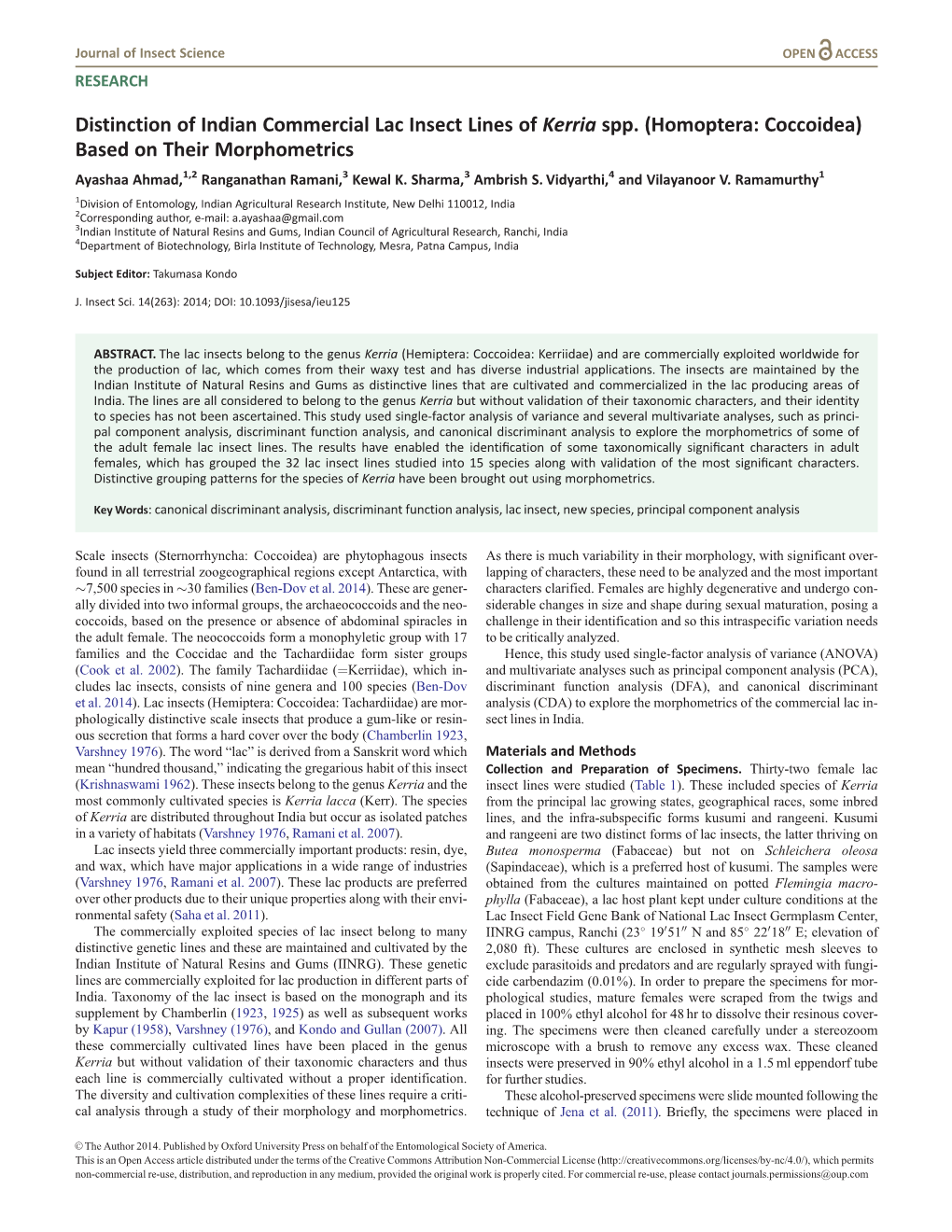 Distinction of Indian Commercial Lac Insect Lines of Kerria Spp