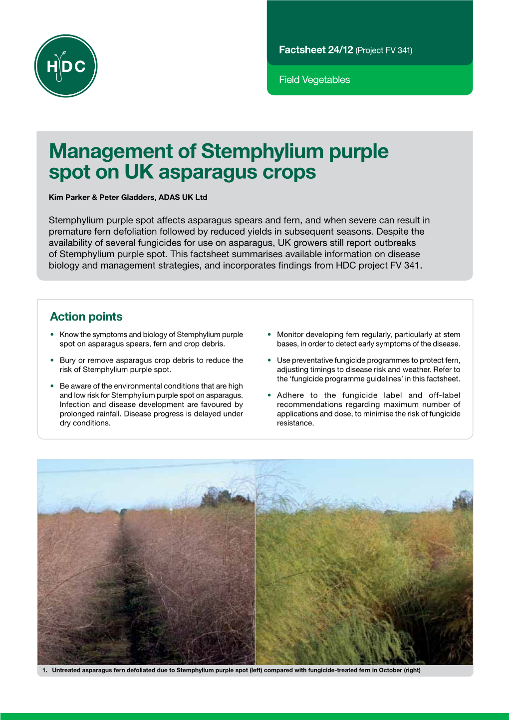 Management of Stemphylium Purple Spot on UK Asparagus Crops