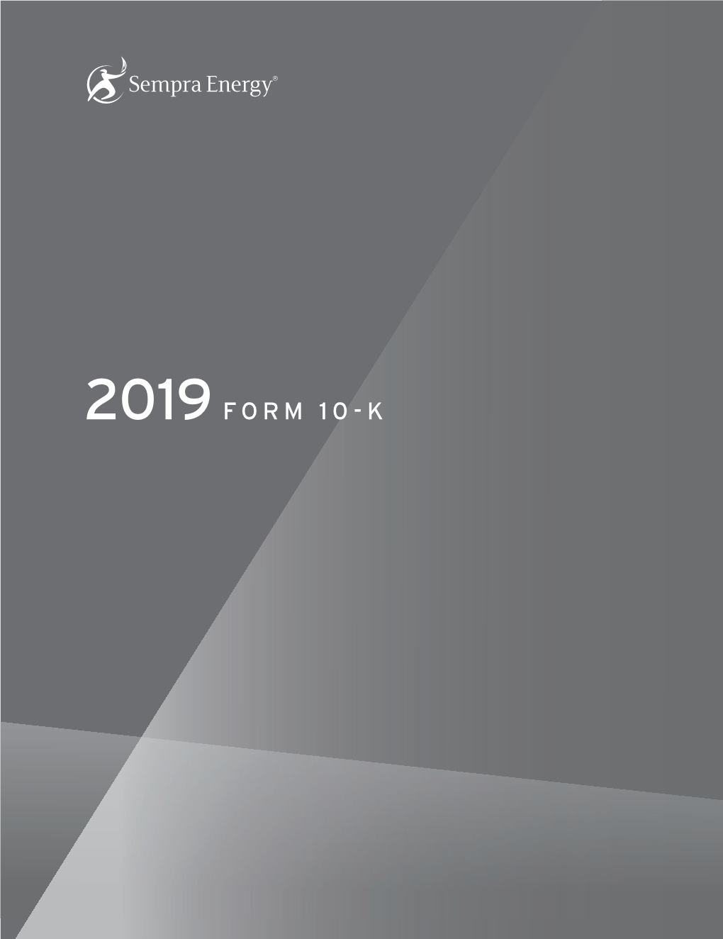 2019 Form 10-K 
