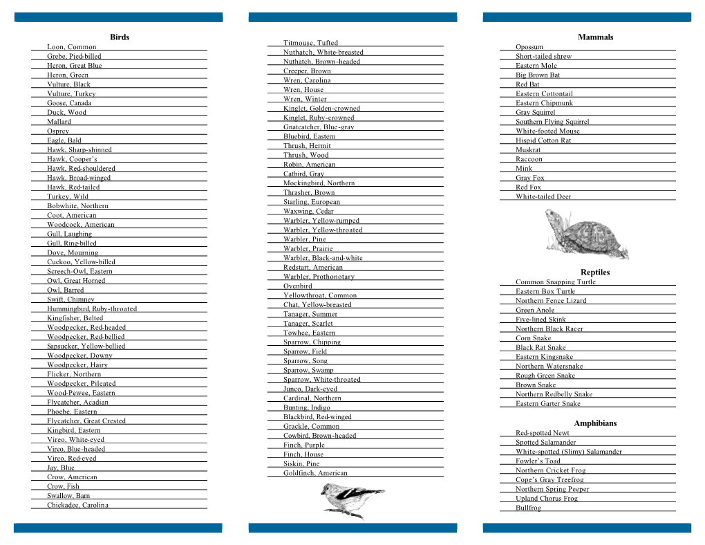 Download Our Vertebrate Species Checklist