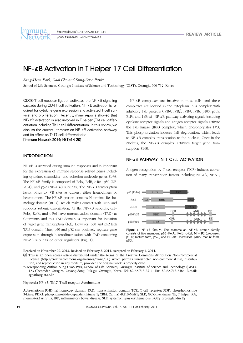 NF-Κb Activation in T Helper 17 Cell Differentiation