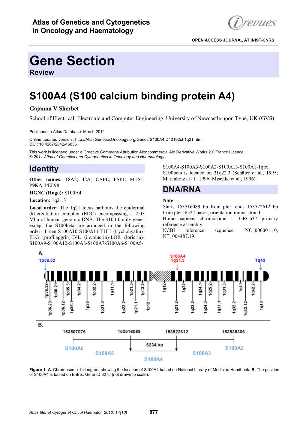 Gene Section Review