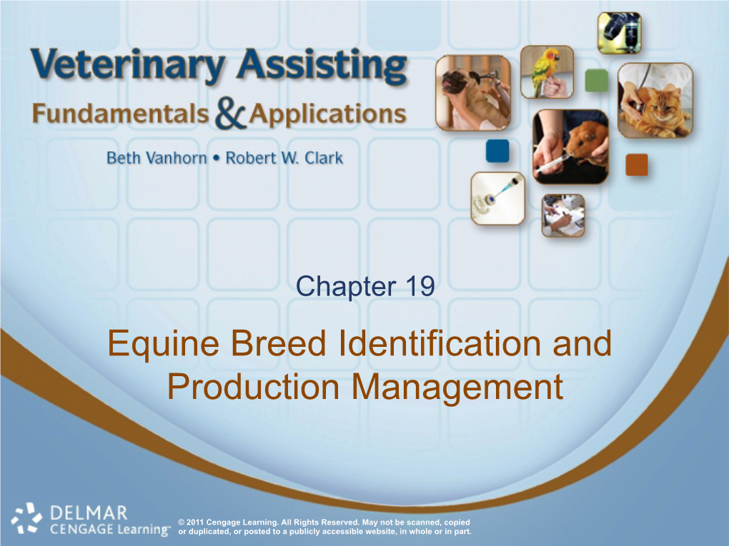 Equine Breed Identification and Production Management