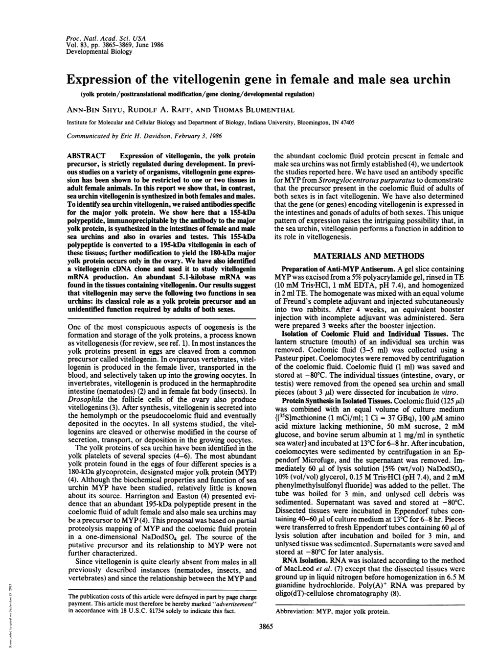 Expression of the Vitellogenin Gene in Female and Male Sea Urchin