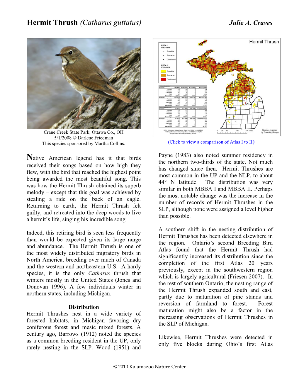 Hermit Thrush (Catharus Guttatus) Julie A