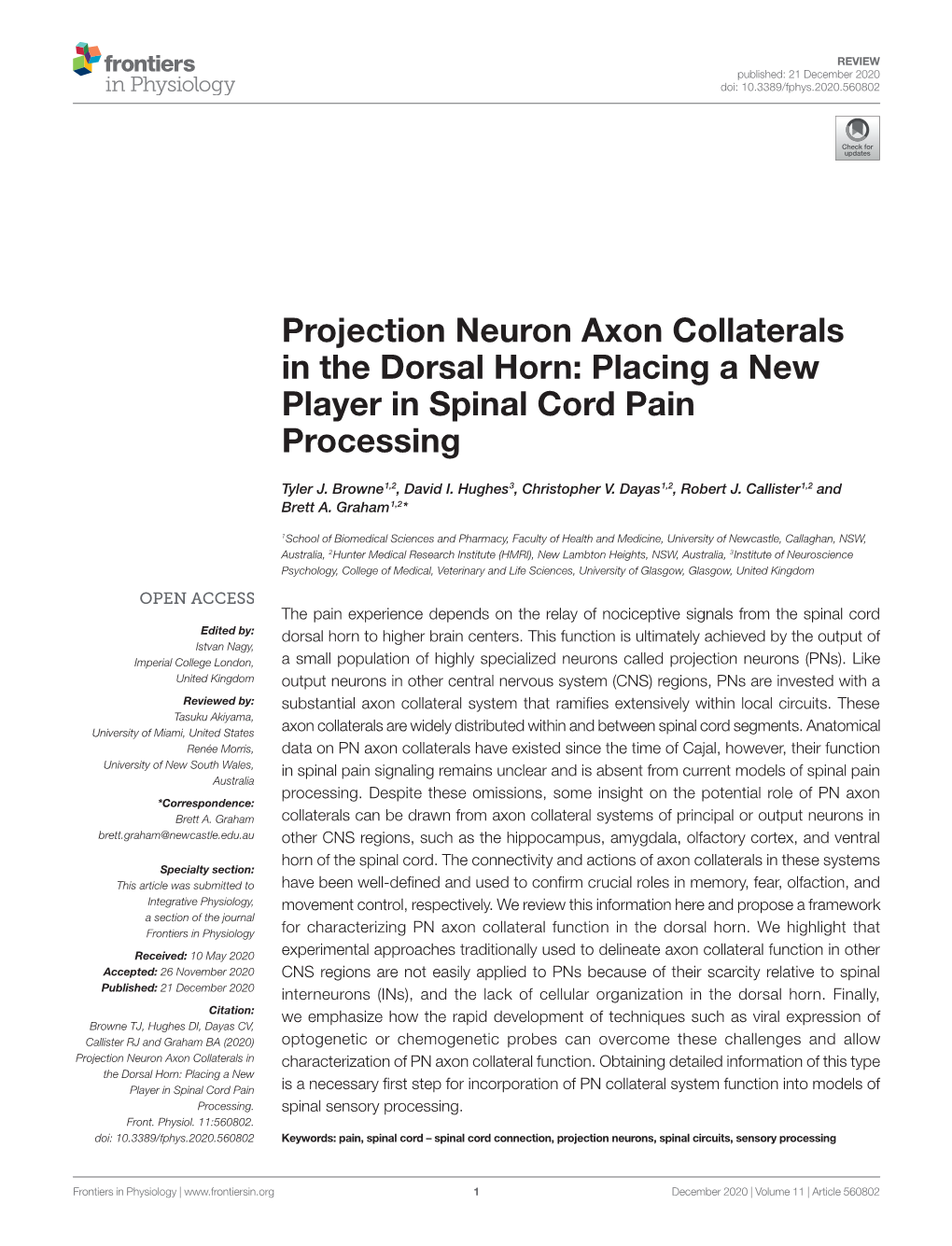 Projection Neuron Axon Collaterals in the Dorsal Horn: Placing a New Player in Spinal Cord Pain Processing