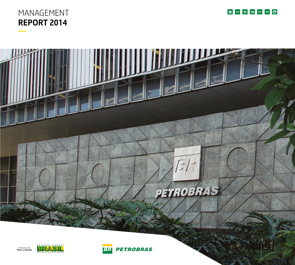 Management Report 2014