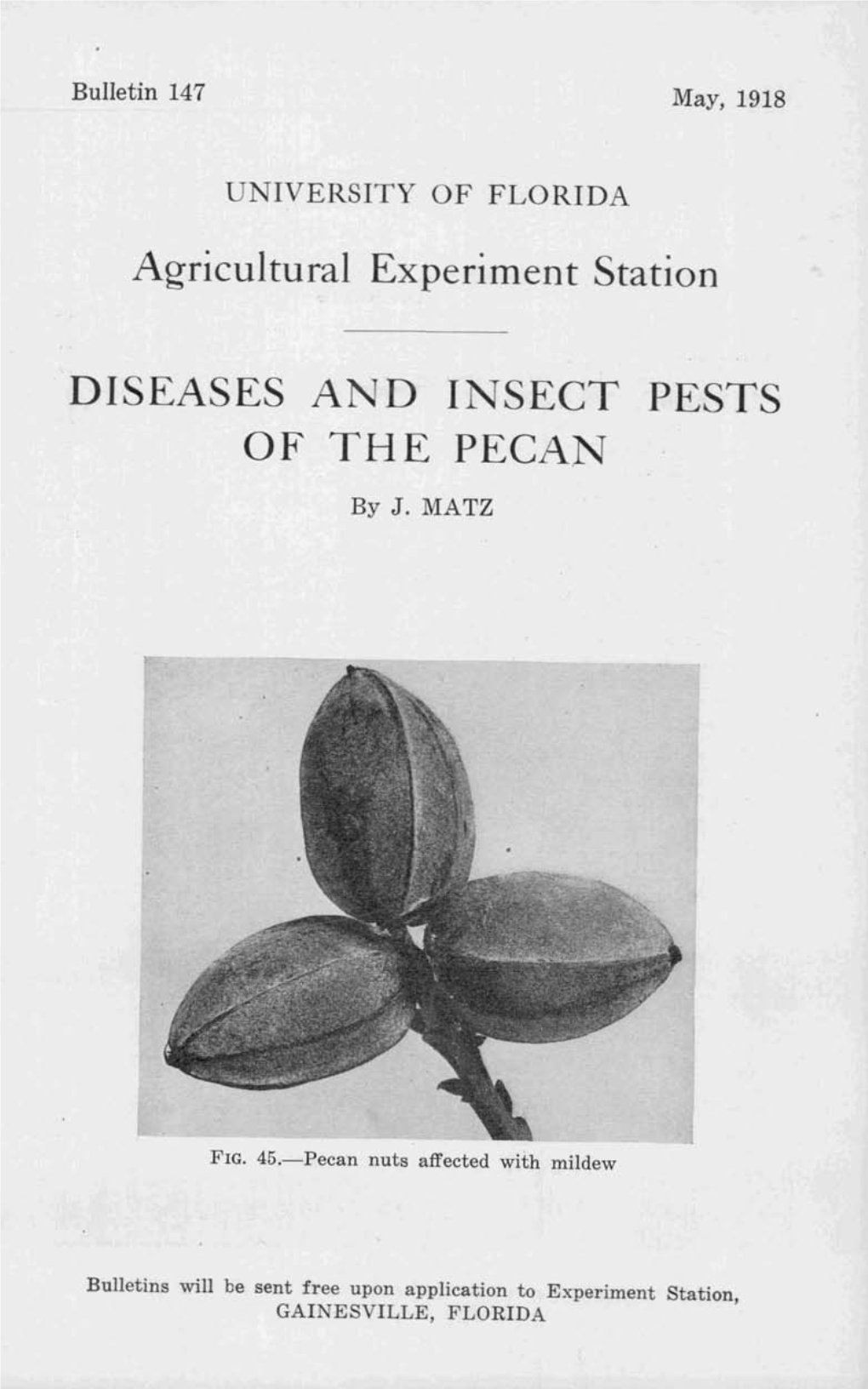 Diseases a D I Sect Pests of the Peca