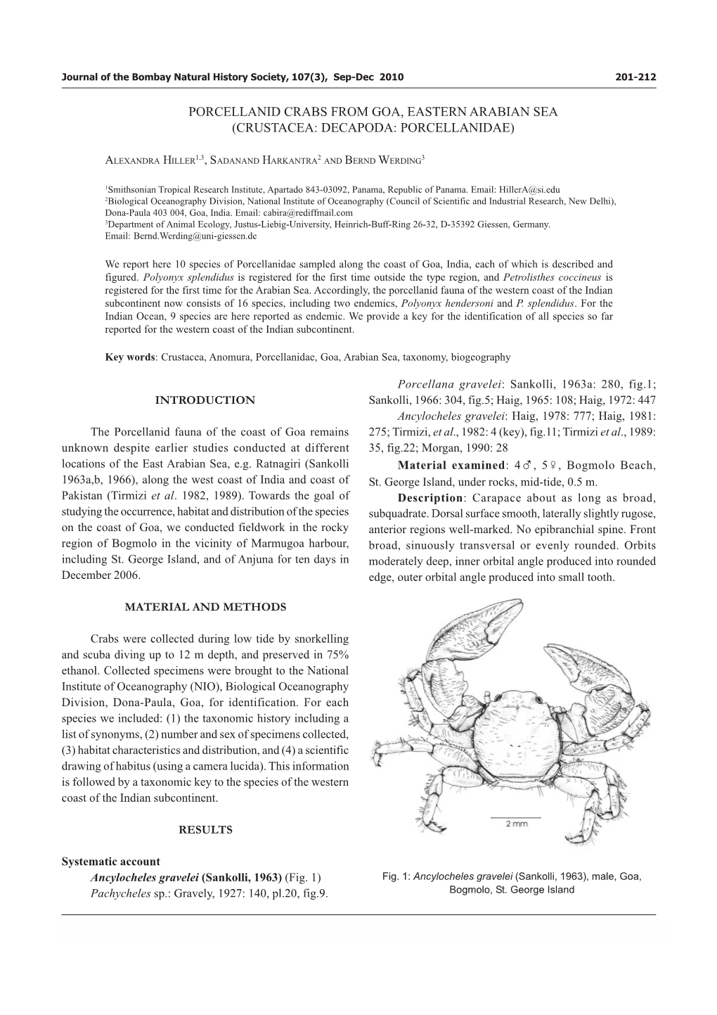 Porcellanid Crabs from Goa, Eastern Arabian Sea