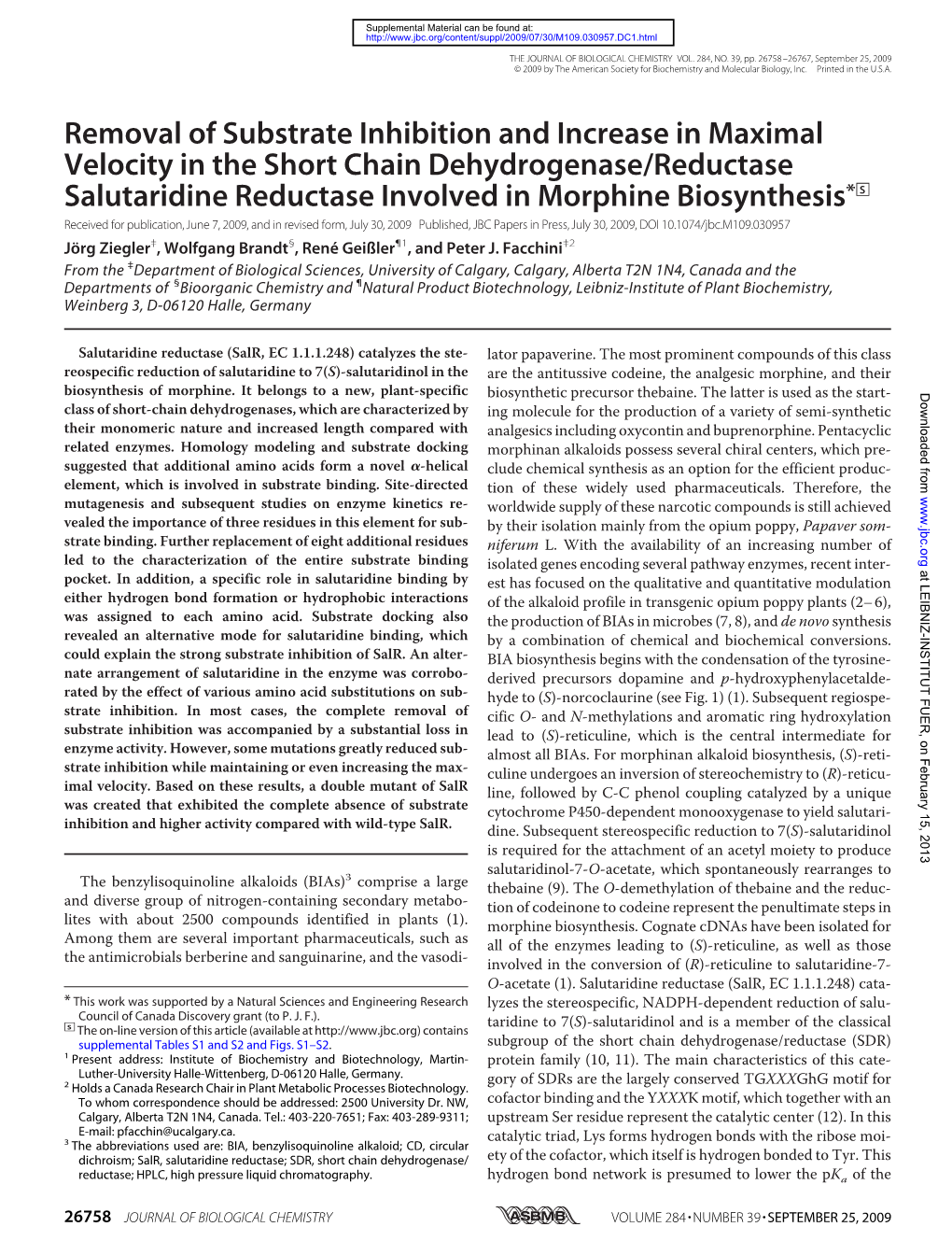 Removal of Substrate Inhibition and Increase in Maximal Velocity in the Short Chain Dehydrogenase/Reductase Salutaridine Reducta
