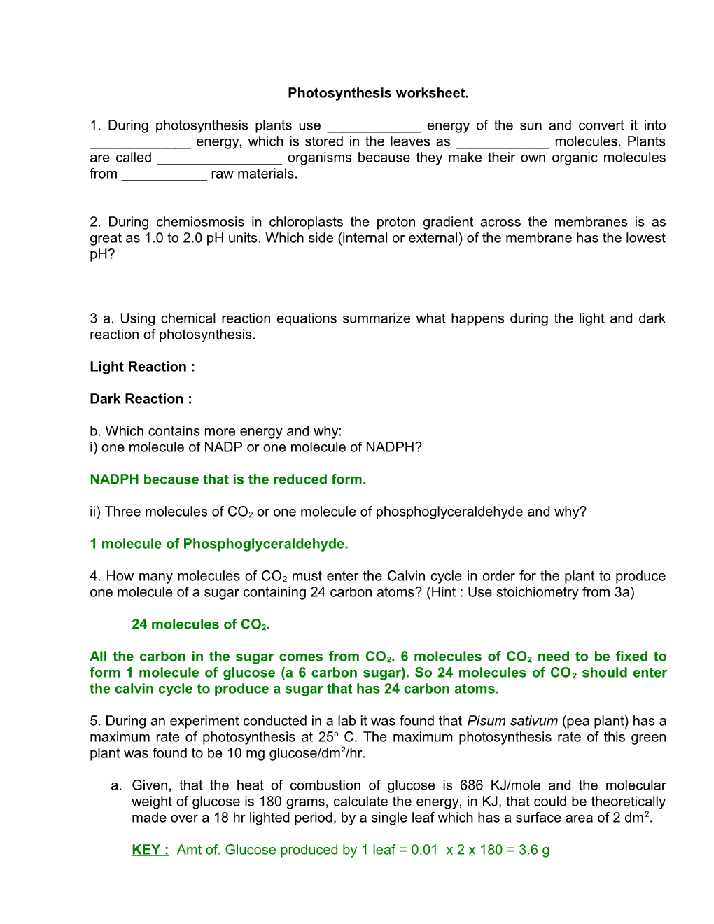 Photosynthesis Worksheet