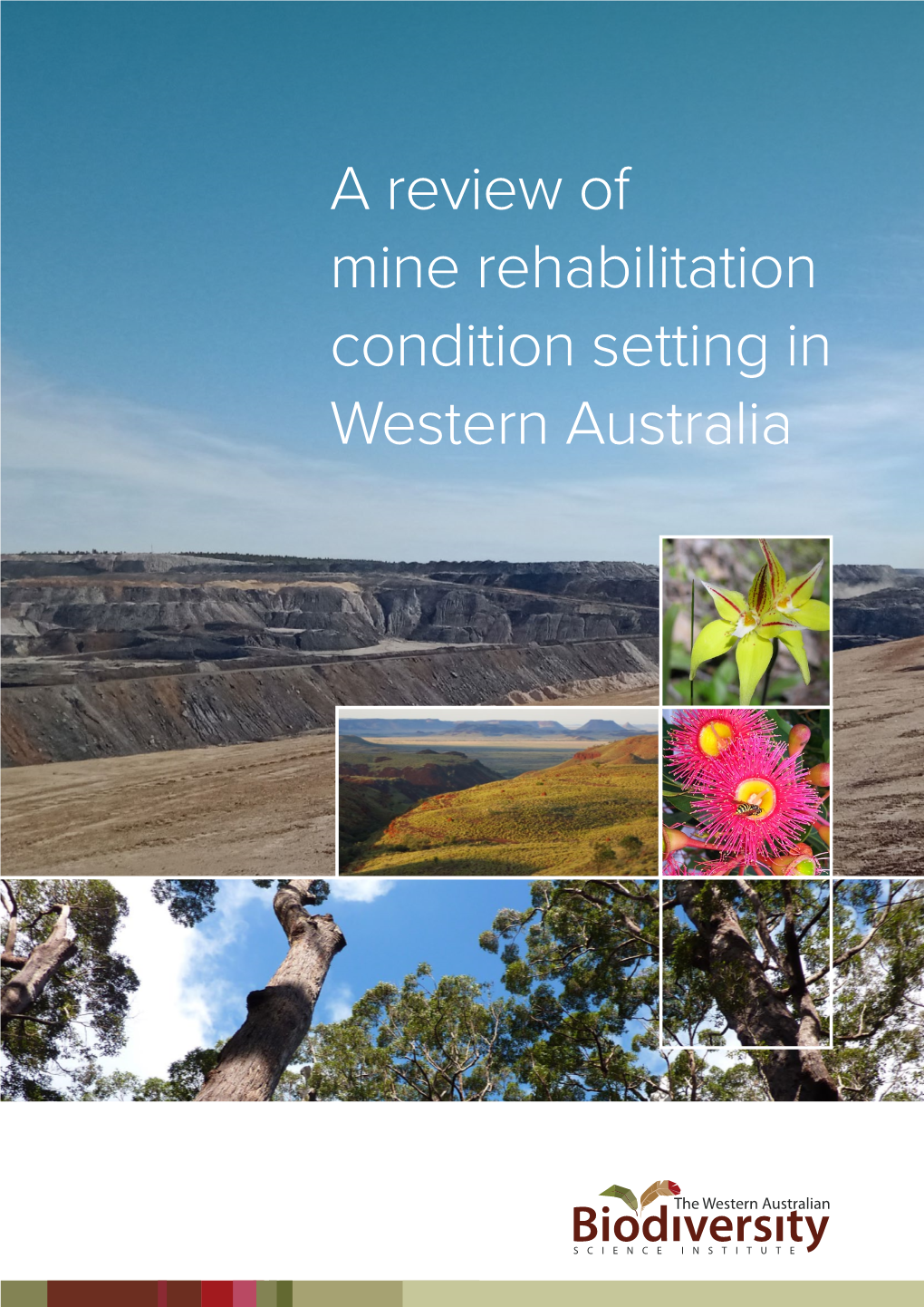 A Review of Mine Rehabilitation Condition Setting in Western Australia Cover Photos:Maritkragtanddwer Photo: DWER Western Australia