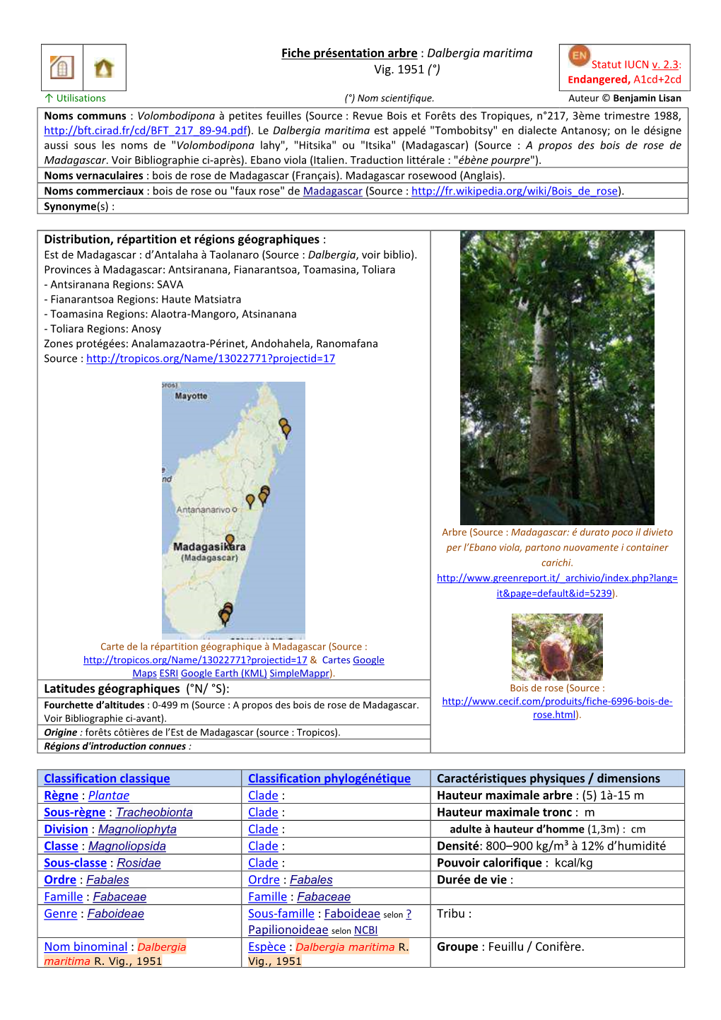 Fiche Présentation Arbre : Dalbergia Maritima Statut IUCN V