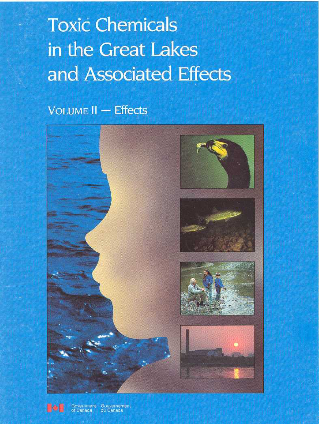 4. How Toxic Chemicals Affect Fish