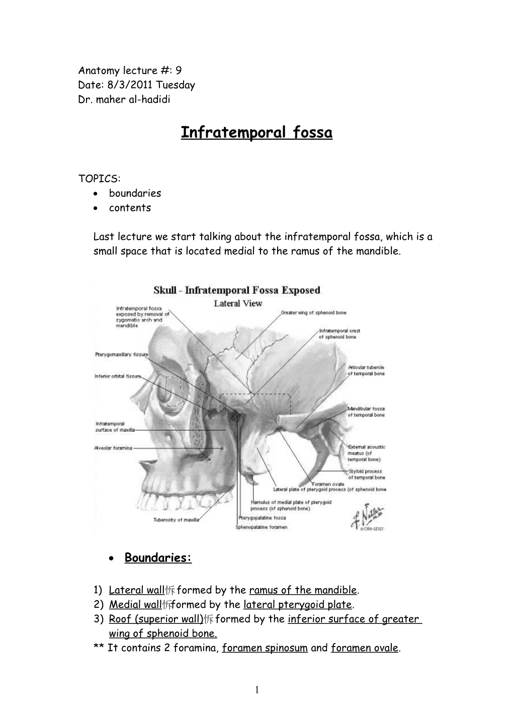 Anatomy Lecture #: 9