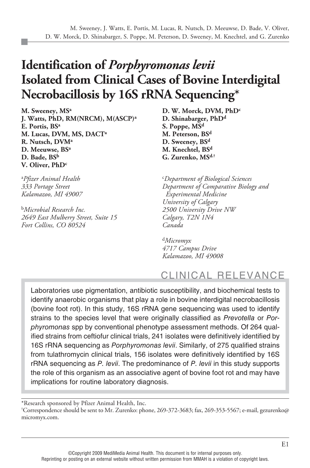 Identification of Porphyromonas Levii Isolated from Clinical Cases of Bovine Interdigital Necrobacillosis by 16S Rrna Sequencing * M