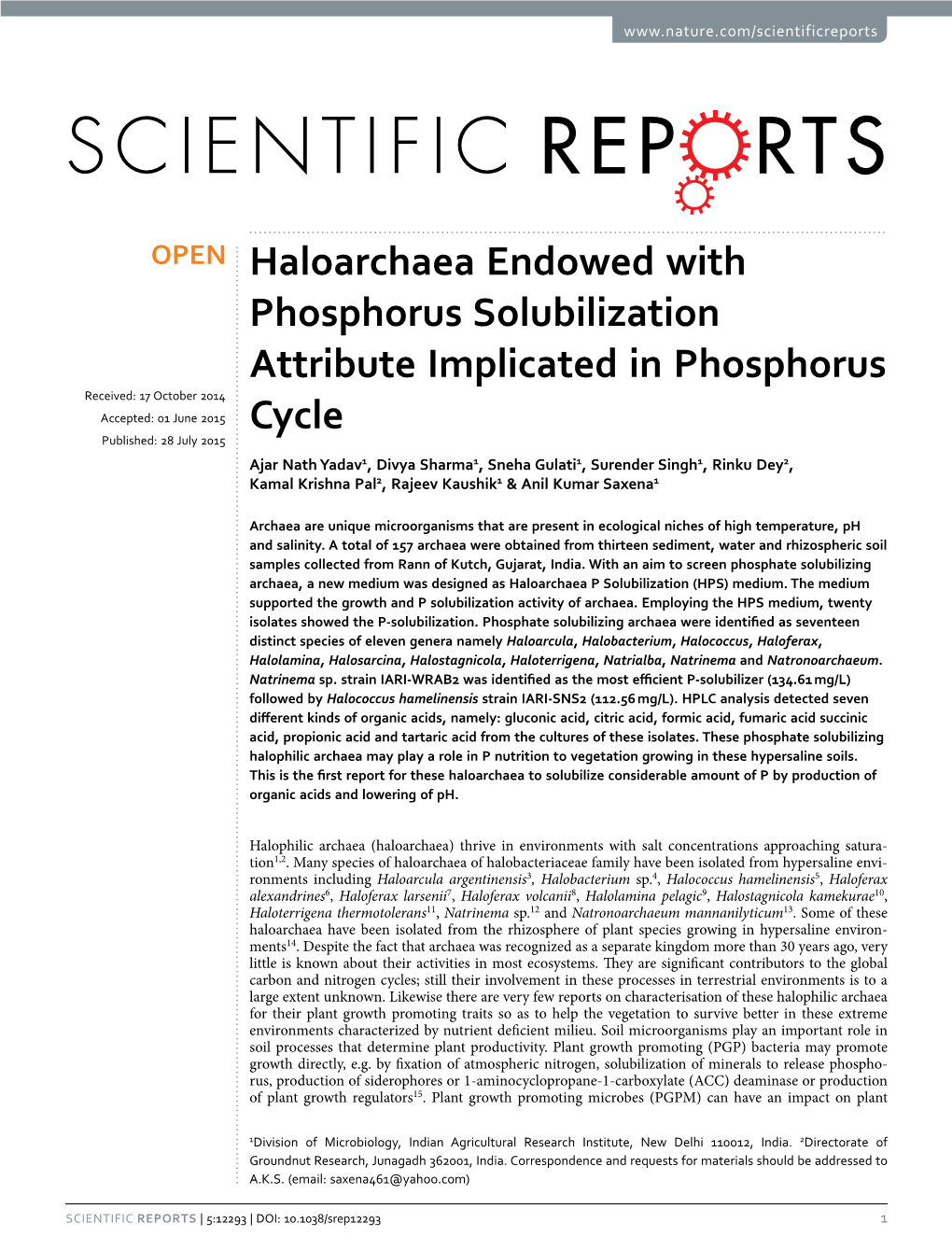 Haloarchaea Endowed with Phosphorus Solubilization Attribute