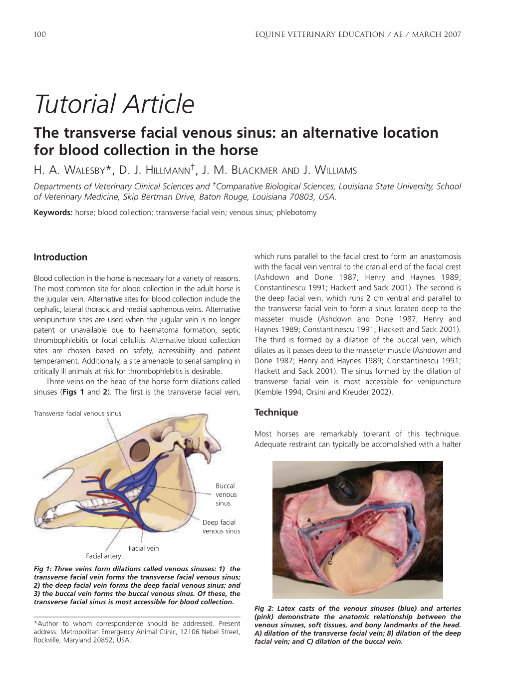 Tutorial Article the Transverse Facial Venous Sinus: an Alternative Location for Blood Collection in the Horse H