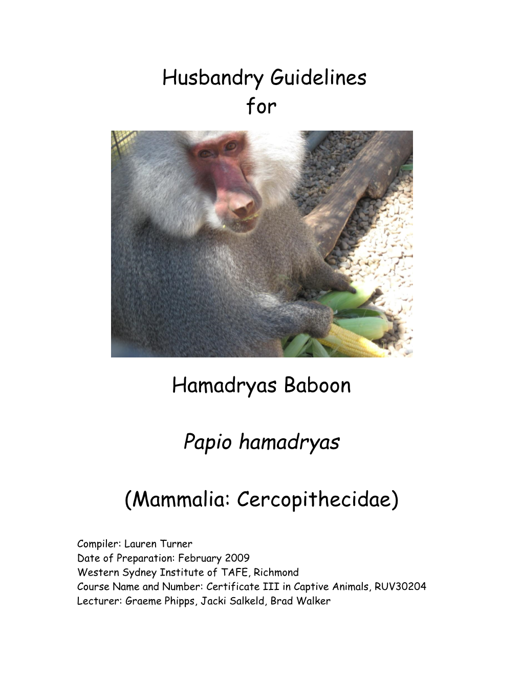 Husbandry Guidelines for Hamadryas Baboon Papio Hamadryas