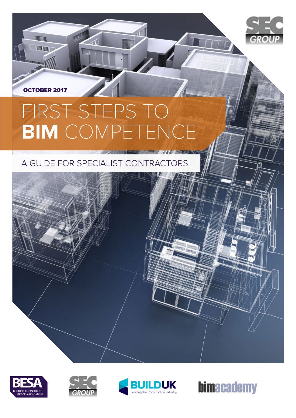 First Steps to Bim Competence