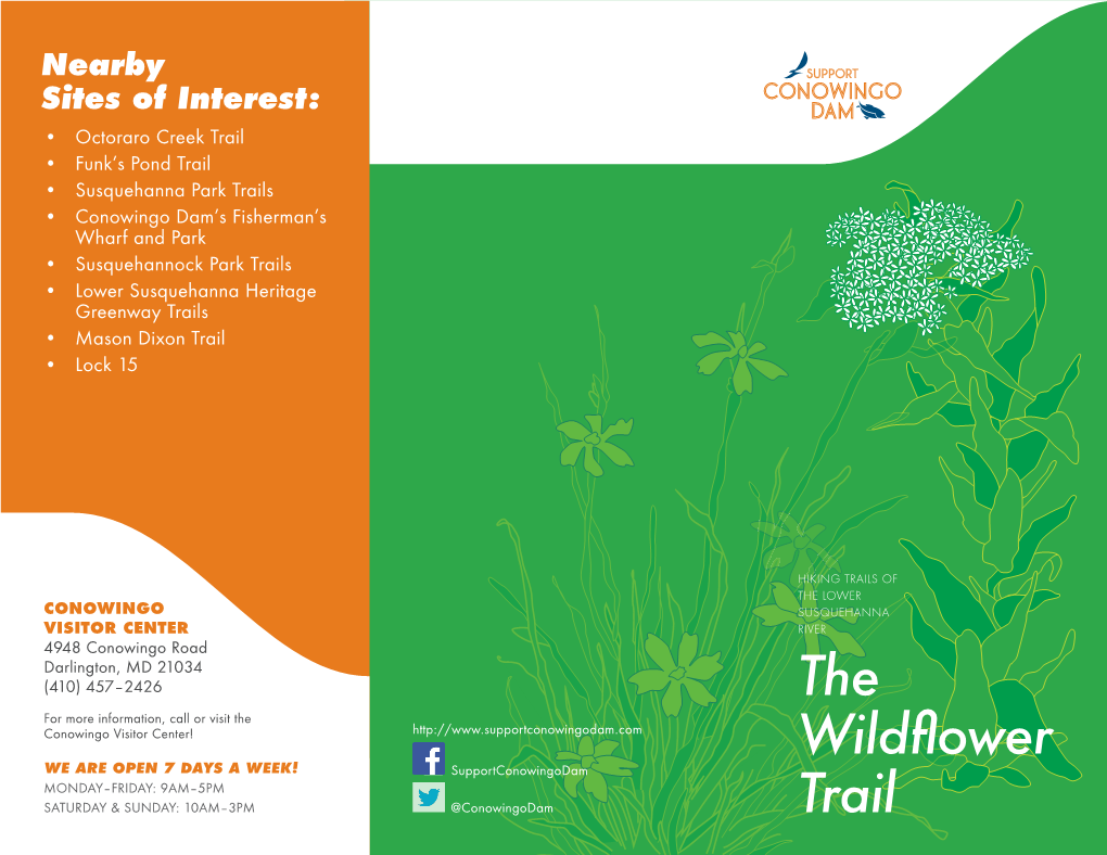 The Wildflower Trail