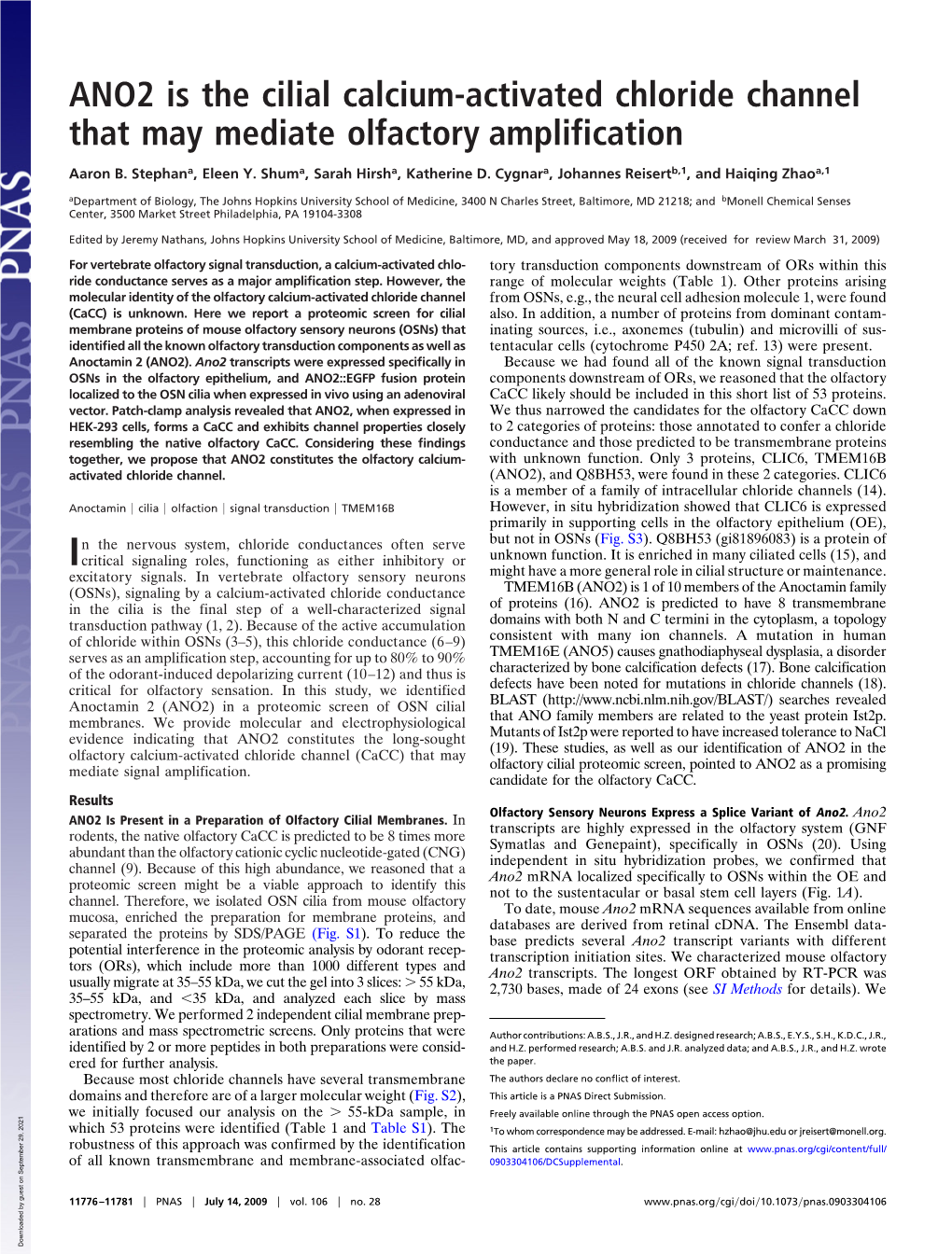 ANO2 Is the Cilial Calcium-Activated Chloride Channel That May Mediate Olfactory Amplification