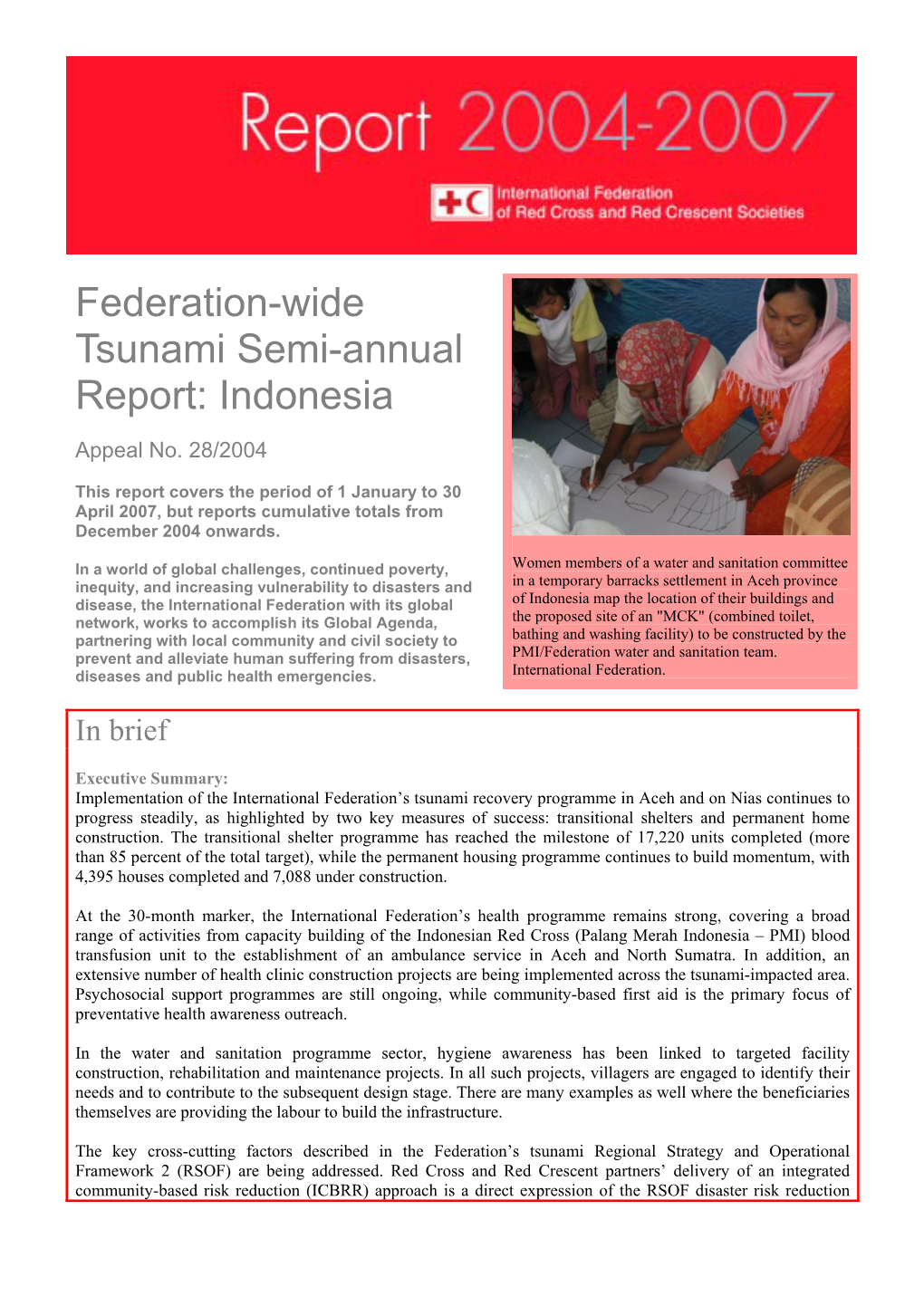 Federation-Wide Tsunami Semi-Annual Report: Indonesia