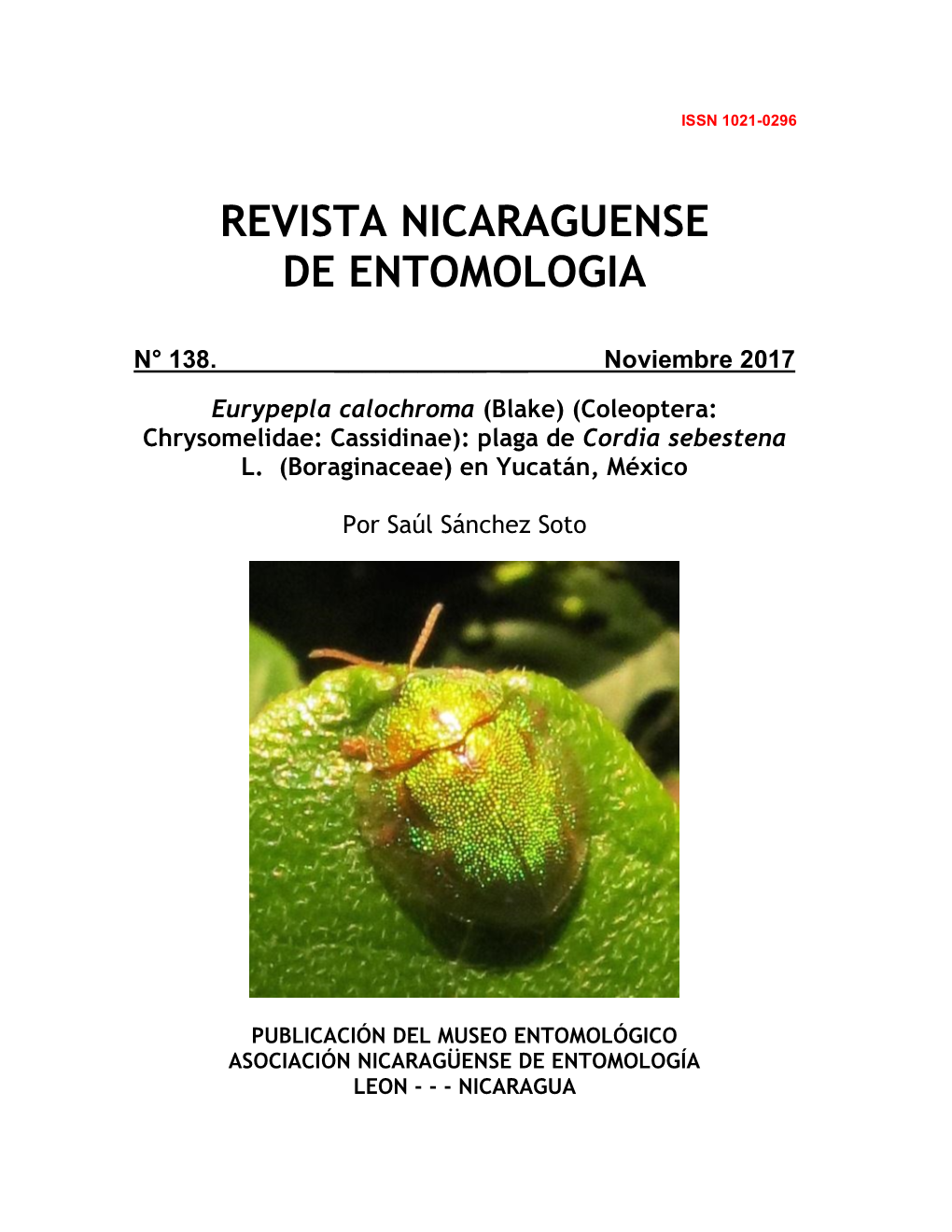 Boraginaceae) En Yucatán, México