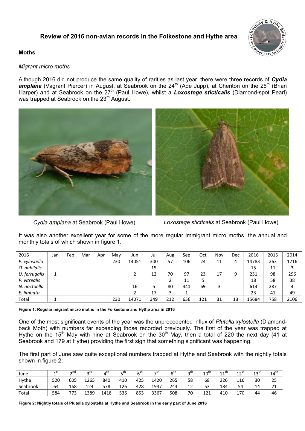 Moth Species Trapped Or Seen in 2004