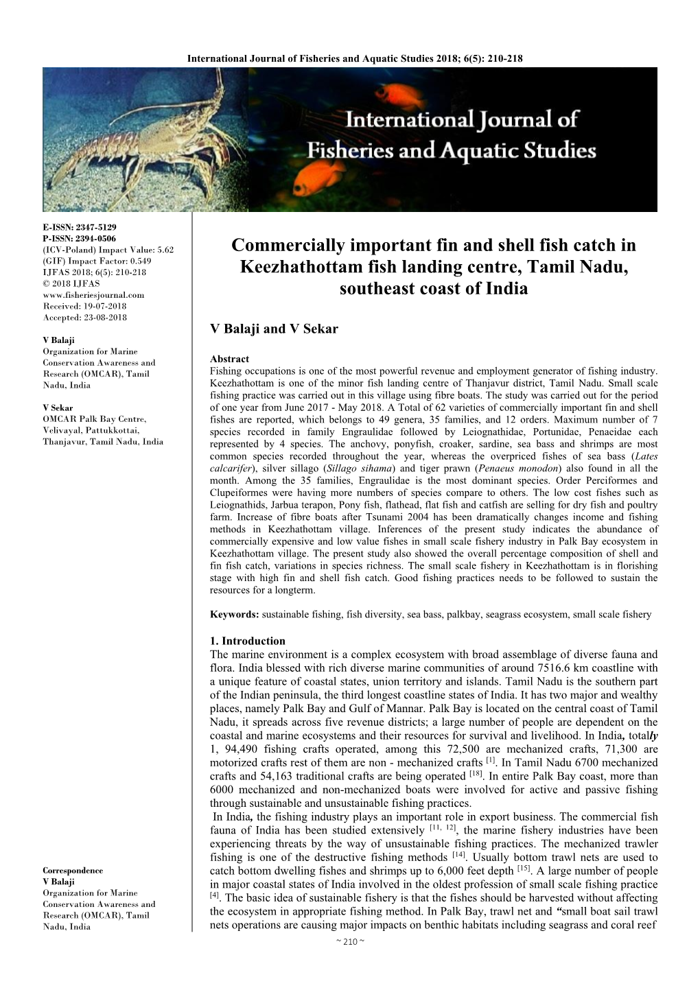 Commercially Important Fin and Shell Fish Catch in Keezhathottam Fish