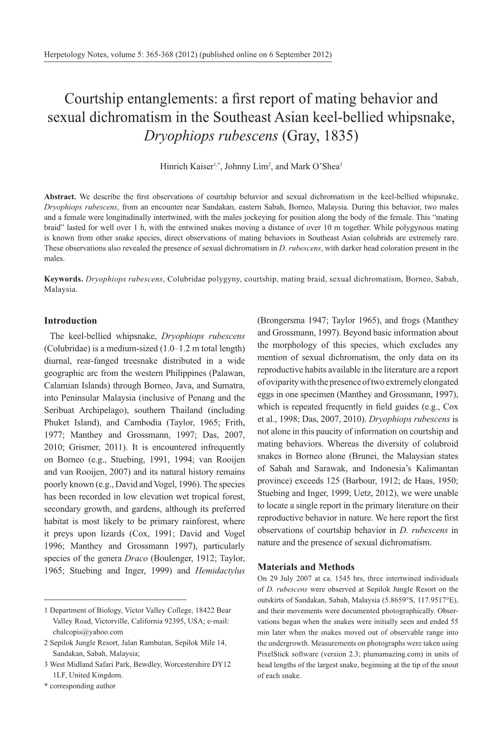 Courtship Entanglements: a First Report of Mating Behavior and Sexual Dichromatism in the Southeast Asian Keel-Bellied Whipsnake, Dryophiops Rubescens (Gray, 1835)