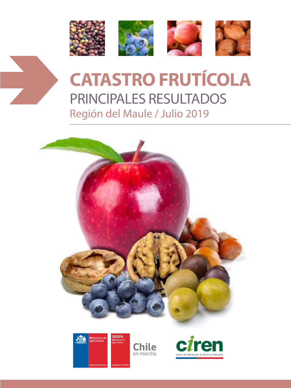 CATASTRO FRUTÍCOLA PRINCIPALES RESULTADOS Región Del Maule / Julio 2019