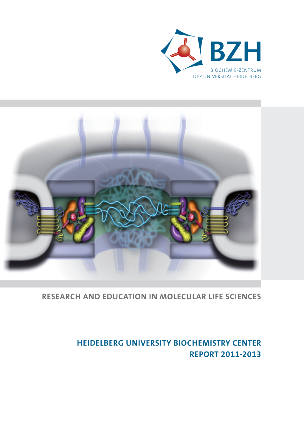 Research and Education in Molecular Life Sciences Heidelberg University Biochemistry Center Report 2011–2013