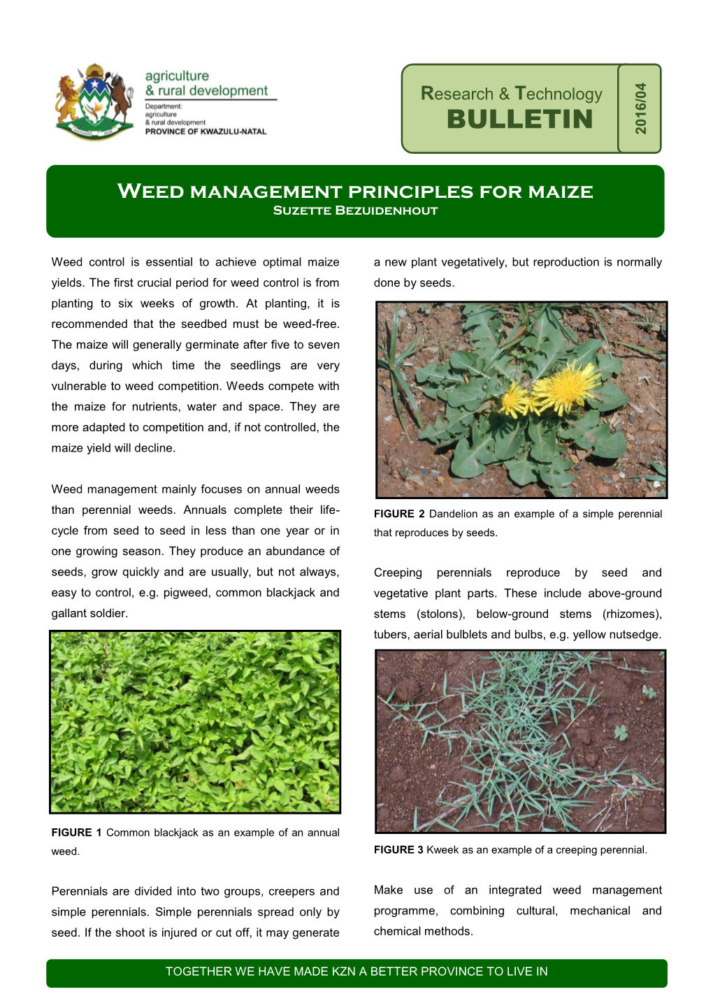 Weed Management Principles for Maize Suzette Bezuidenhout