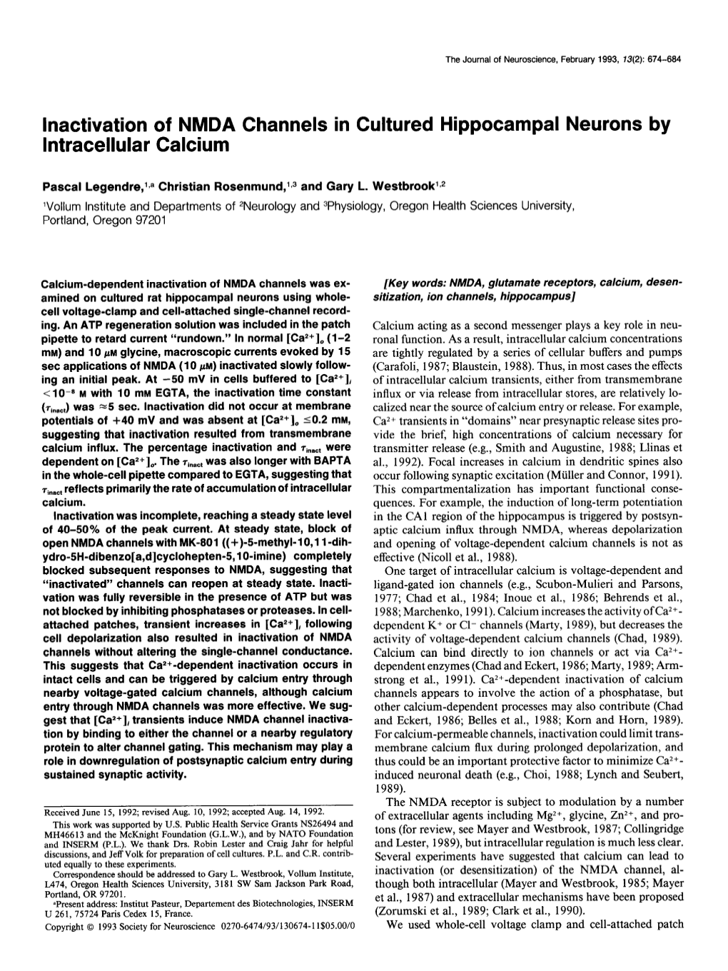Inactivation of NMDA Channels in Cultured Hippocampal Neurons by Intracellular Calcium