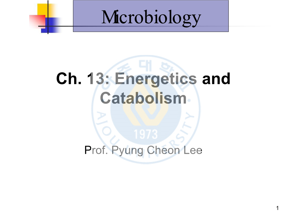 Ch. 13: Energetics and Catabolism