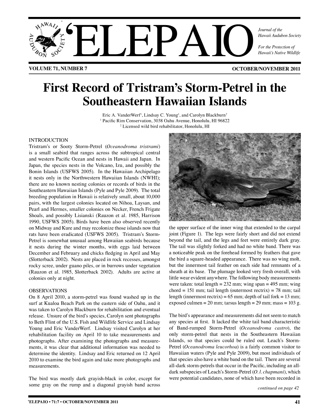 First Record of Tristram's Storm-Petrel in the Southeastern Hawaiian Islands