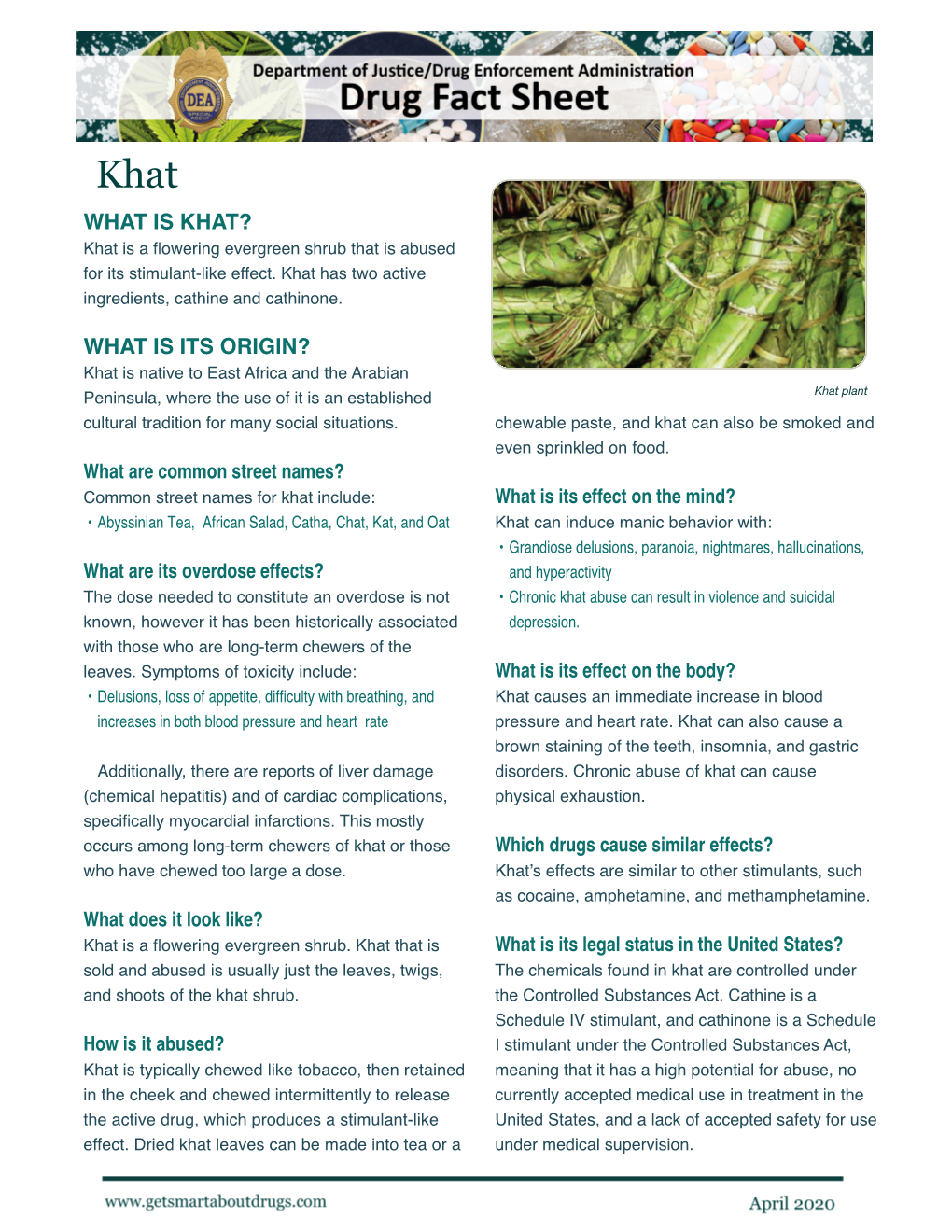 Khat WHAT IS KHAT? Khat Is a Flowering Evergreen Shrub That Is Abused for Its Stimulant-Like Effect